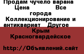 Продам чучело варана › Цена ­ 15 000 - Все города Коллекционирование и антиквариат » Другое   . Крым,Красногвардейское